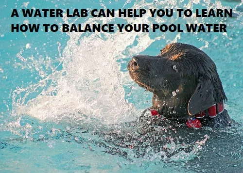 water lab can help you with water testing